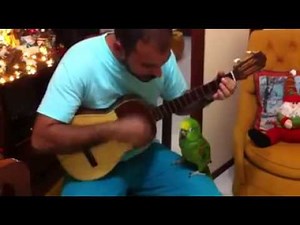 the best singing parrot ever.