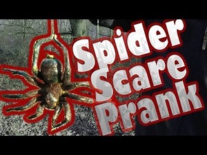 SPIDER - Scare Prank
