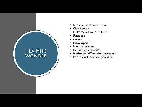 HLA Part 1: Major Histocompatibility Complex, HLA, Introduction, Discovery and Nomenclature
