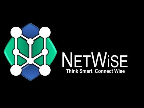 The Future of Business: Netwise Digital Innovation Corp (Full Presentation)