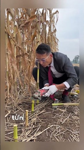 Làm như vậy bao giờ mới xong nhỉ mọi người #shortvideo