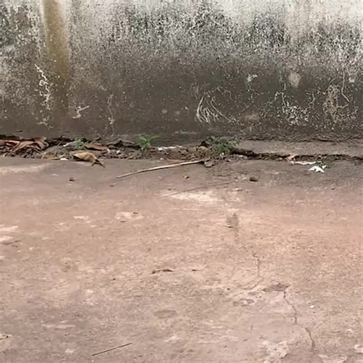 #diyproject #diy | DIY Projects