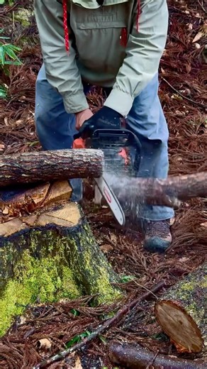 (16) 森で最悪なエリアを、最高の場所に開拓！(bush craft shelter、山小屋の屋根が、ようやく完成しました！)