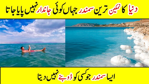 18K views · 560 reactions | 蓼 Why the Dead Sea Is So Salty! Discover the fascinating secrets of the Dead Sea, one of the saltiest and most unique places on Earth!  From floating effortlessly on the surface to its amazing healing minerals, the Dead Sea is full of wonders you won’t believe until you see them. #DeadSea #AmazingFacts #NatureWonders #TravelFacts #EarthSecrets #FloatingSea | Amazing Info | Facebook