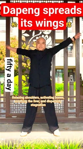 Morning Tai Chi Routine #taichi #kungfu #workout