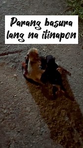 Parang basura lang na itinapon. #cat #catlover #catloversclub #fyp #reels #adsonreels #reelsvideo #meowmyminminofficial | Meowmy Min-Min Official