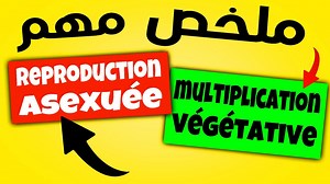7.1K views · 312 reactions | la multiplication végétative 2ac cours...