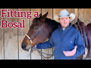 Proper Fit of a Bosal