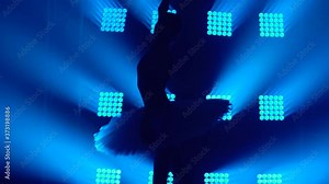 Silhouette graceful ballerina dancing elements of classical ballet in the dark with blue light and smoke on the background. Close up.