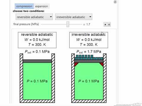 Reversible and Irreversible Expansion/Compression Work (Interactive Simulation)