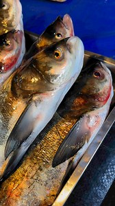 Korean fish😍 | Mommy Hearty