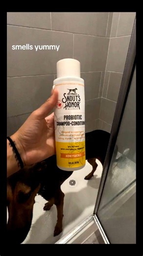 shower routine for my pup 🚿⭐👀 #clean #hygiene #shower