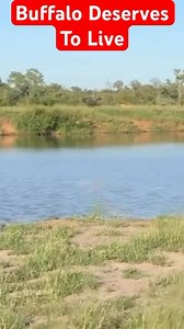 No one is coming to Save You! 🦬 | Manafest