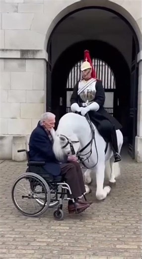 A Calm and Beautiful Moment Between a Man and a Horse