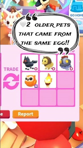 They Got ALL THIS for THAT?! WFL!? #adoptmeroblox #robloxadoptme #adoptme