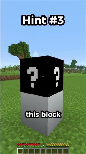 Guess the Minecraft Block in 6 Hints | Part 8