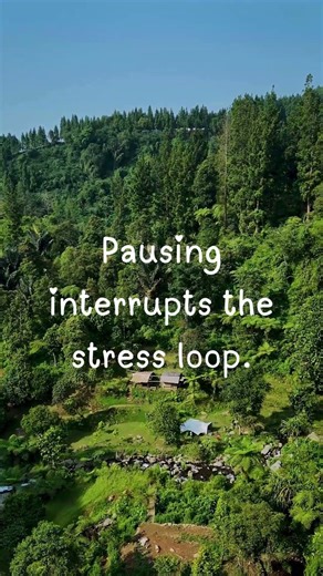 Dads, How to Release Stress in 5 Seconds Doing Nothing