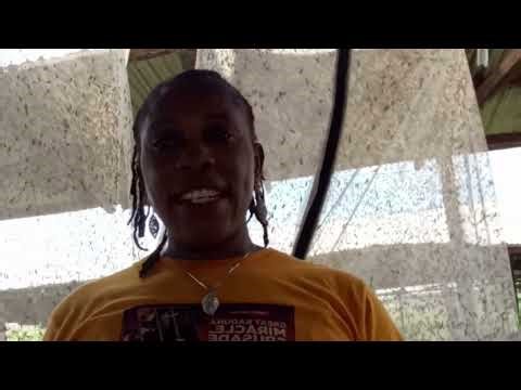 5 Biggest Mistakes to Avoid in BSF Farming | Beginner Black Soldier Fly Guide