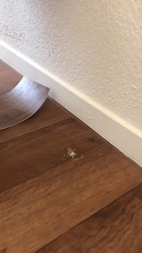 #foryoupage #fyp #cut #cut #tips #work #vinyl #repair | N.miathemummy