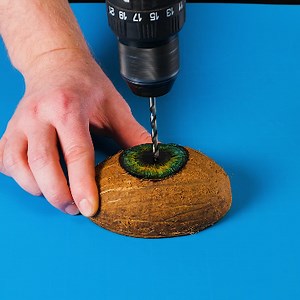 DIY spy trick: coconut hiding spot for cam and cash | Wood Mood