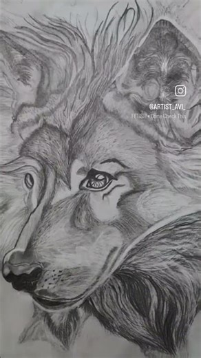 wolf sketch // wolf pencil sketch 🐺 #pencildrawing #sketching #wolf #realistic #shortvideo #shorts