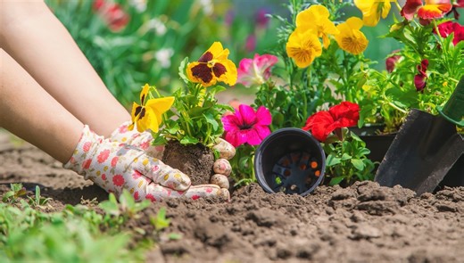 Spring Forward, Spend Less: The Best Early-Season Budget Hacks
