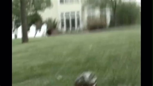 Froghold on Instagram: "funny Screaming frog - 📸 Source: @ iheartfrogs2000 on TikTok All credit are reserved for their respective Owners - ❌Remove/recognition👉 @ fixposts - - - - #froggies#frogs#instafrog#treefrog#amphibian#frogger#treefrogs#greentreefrog#toads#amphibians#phrog#pacmanfrog#frog🐸#pixiefrog#frogfriday#frogcore#dumpyfrog#frogandtoad#froggo#phrogs#whitestreefrogs#babyfrogs#africanbullfrog#cutefrogs#frogofinstagram#frogstyle"