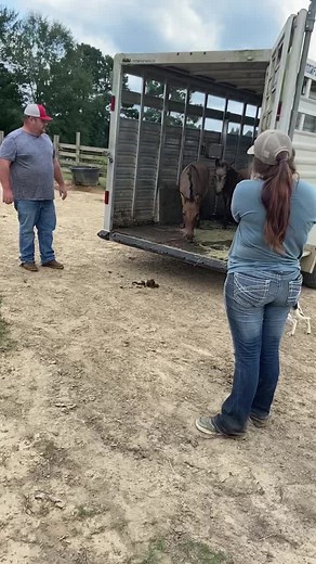 7.8M views · 10K reactions | The mini mules are here! ❤️❤️ | Rocking R Ranch and Rescue, Inc. | Facebook