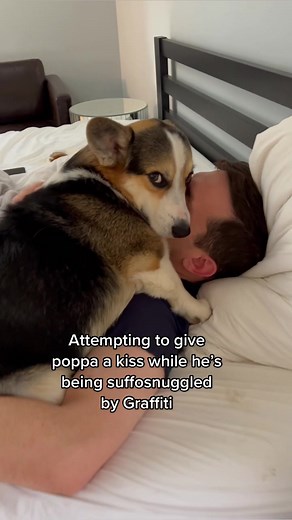 Adorable Corgi Gives Poppa Kiss | Dog Cuddles