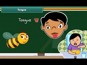 My Body Class 2: An Interactive Guide to Understanding the Human Body