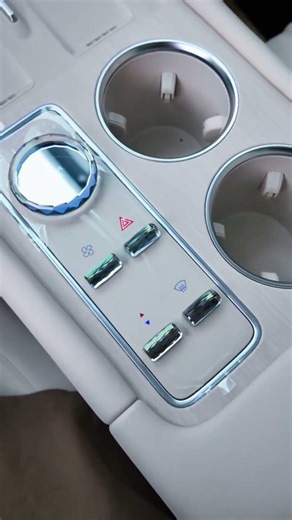 The New Chery Fulwin T11 REEV 2026 #chinaautoshow #bestluxurycars #luxurycars