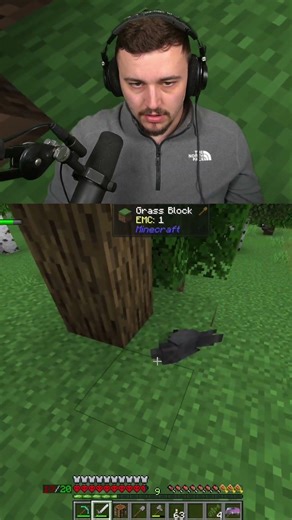 Dead crow mechanic! #shorts