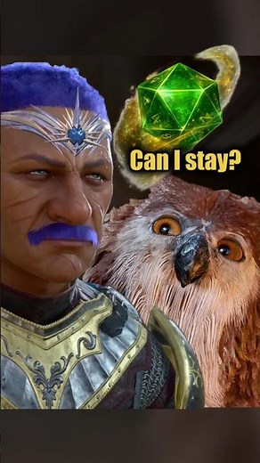BG3: 🎲Dice Decides🎲Can The Owlbear Cub Stay?