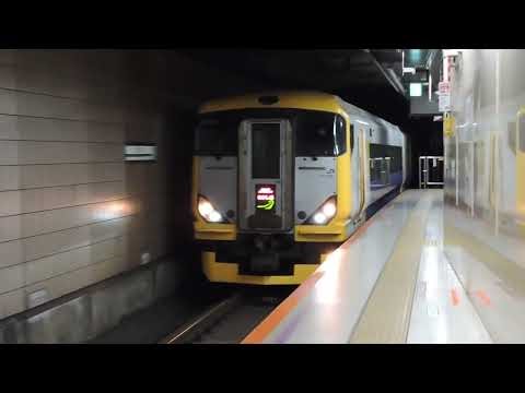 E257系500番台 NB-03編成 臨時特急 わかしお88号 東京駅到着 2026/01/02
