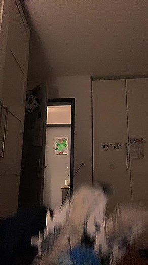 Ohh I can SMELL the hate comments😉. “ I started dancing”. #paperdragonpuppet #handpuppet #viral #dragon