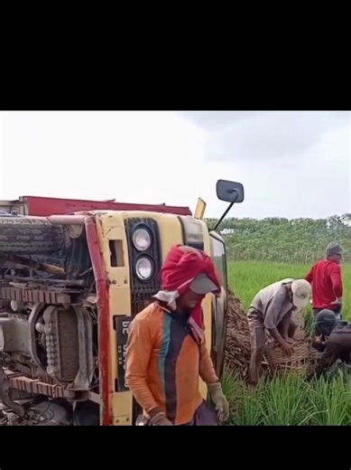 Sebuah truk bermuatan singkong terguling di Lampung Timur karena diduga tak kuat menanjak akibat muatan berlebih. Video kejadian viral, bukan hanya karena kecelakaannya, tetapi juga karena saksi mata yang berusaha menjelaskan kronologi dengan bahasa isyarat dan suara, hingga membuat perekam kebingungan. Muatan singkong kemudian dievakuasi secara gotong royong oleh warga sekitar. #beritaviral #viraltiktok #virallucu #fyp