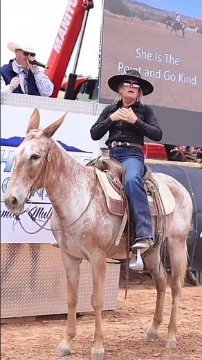 WORLD RECORD HIGH SELLING MULE ~ $100,000 offered by ‪@PetersenMuleCompany‬ ‪@PremierMuleSale‬