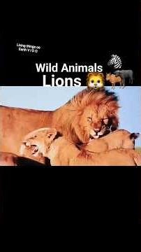 living things on Earth V I D O Wild Animals