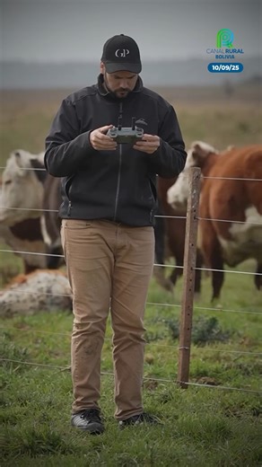 Crean una IA que cuenta y pesa el ganado desde el aire Fuente: EXPO AGRO #CanalRural #NoticiasRurales #Bolivia #SantaCruz #InteligenciaArtificial #Ganader-IA #Ganado | Canal Rural Bolivia