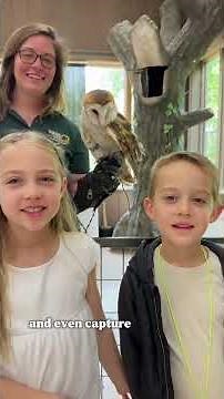 A Day at Wildlife Prairie Park! 🦬 #family #travel