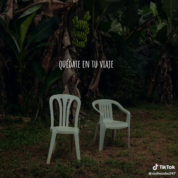 BOKeTE - Bad Bunny… #dtmf #badbunny #bokete #2025 #album