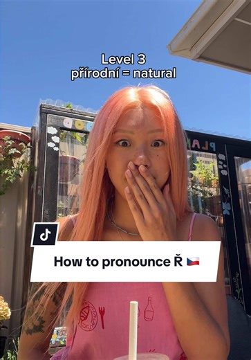 Mastering the Czech Language: How Long Will It Take?