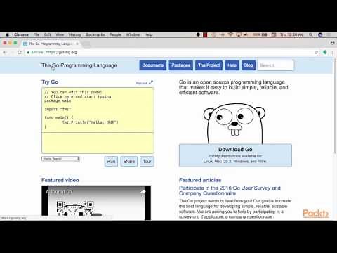 Modern Golang Programming : Go with Databases in the Wild | packtpub.com