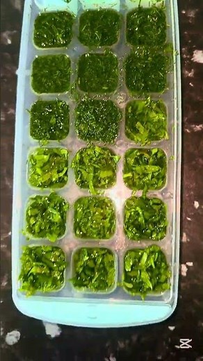 Winter Flavor Hack ❄️🌿 #viralvideo #shortvideo