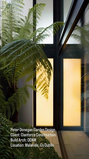 Courtyard Garden Design and Tree Ferns