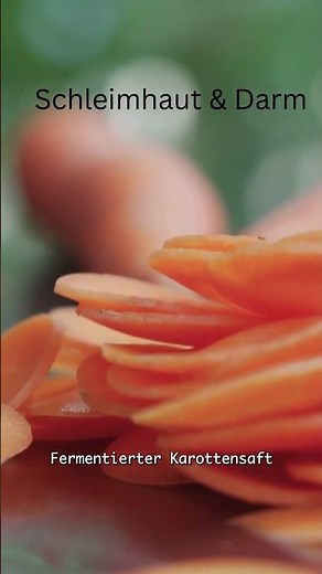 fermentierte Zutaten für Darm & Immunsystem – täglich einfach | Teil 1