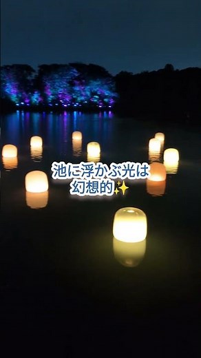 【ボタニカルガーデン大阪】長居公園にて。幻想的な光の芸術、個人的には「自立しつつも呼応する生命の森」が好きでしたね😊 #チームラボ #長居公園 #光の芸術 #今日から開運 #瀧口ニ楓