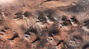 Gold Butte: Artist shows what pre-dinosaur creature might have looked like