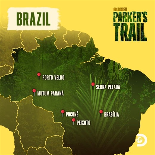 🌿 Brazil is home to an astonishing 46,000 plant species, including around 16,000 tree species! This incredible biodiversity is largely due to the vast Amazon Rainforest, which hosts approximately one-third of all known plant species in the world. Explore the many wonders of Brazil tonight on #GoldRush: Parker's Trail starting in ONE HOUR on Discovery! | Discovery