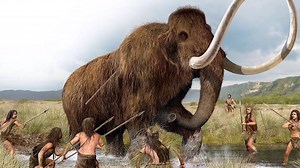 101K views · 1.1K reactions | Ice Age-era fossils have been discovered in Los Angeles' subway system. | IGN | Facebook